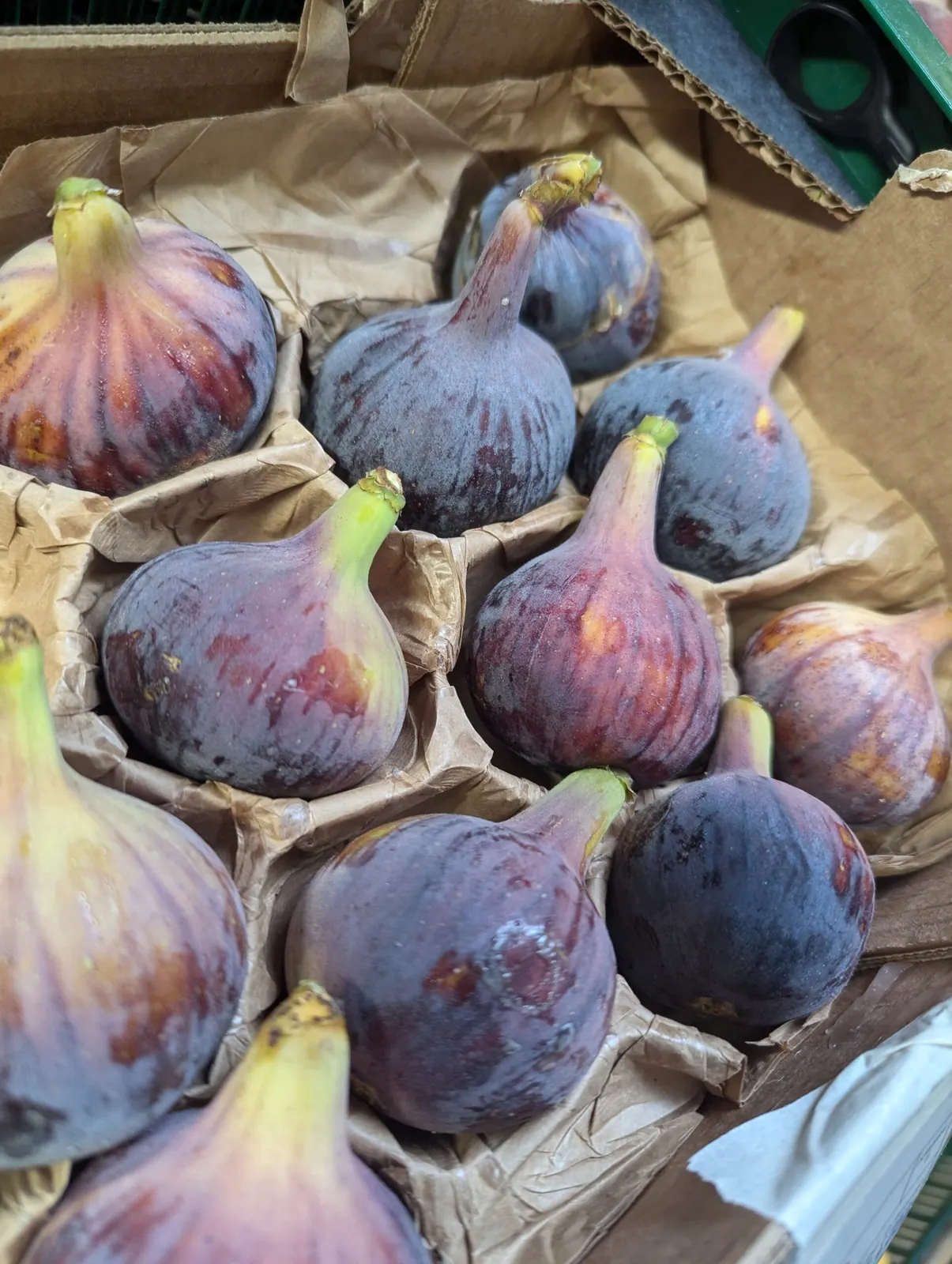 Frische Feigen aus unserem Obstsortiment